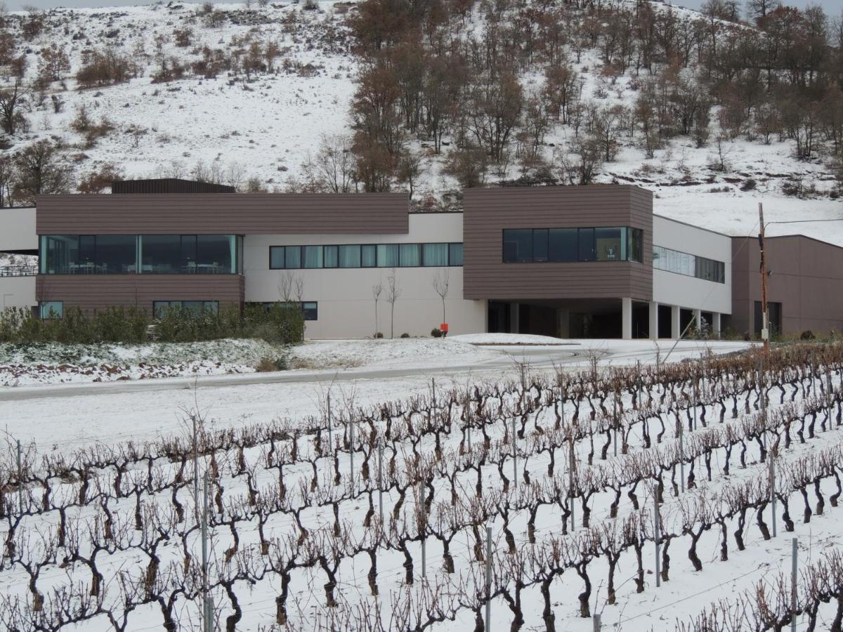 Hotel Bodegas Traslascuestas Valcavado de Roa Exterior foto